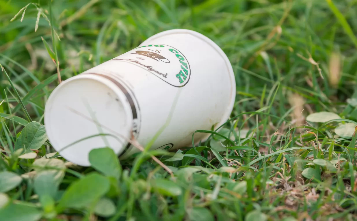 Paper Cups vs. Plastic Cups: Which is Better?